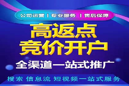 百度品牌专区推广的成效与案例